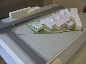 �X�^�f�B�͌^�S